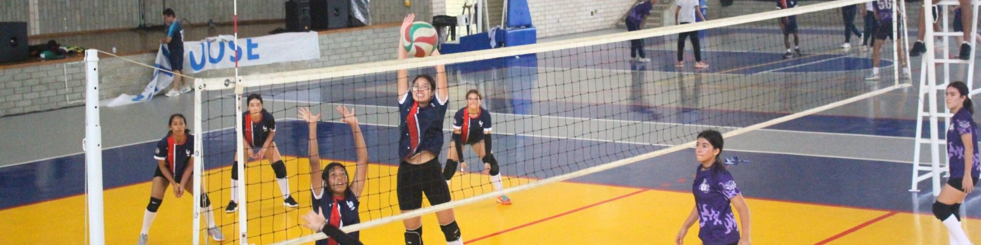 VOLEIBOL FEMENINO - CSJB